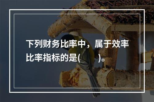 下列财务比率中，属于效率比率指标的是(　　)。