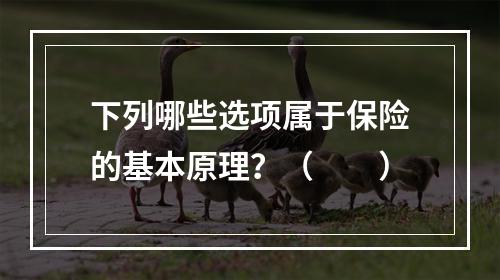 下列哪些选项属于保险的基本原理？（　　）