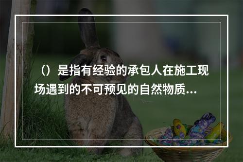 （）是指有经验的承包人在施工现场遇到的不可预见的自然物质条件