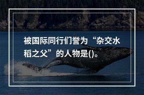 被国际同行们誉为“杂交水稻之父”的人物是()。