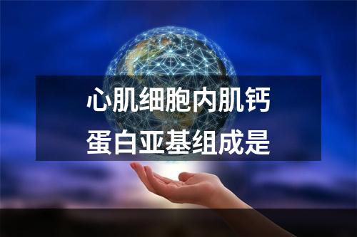 心肌细胞内肌钙蛋白亚基组成是