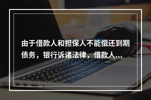 由于借款人和担保人不能偿还到期债务，银行诉诸法律，借款人和担