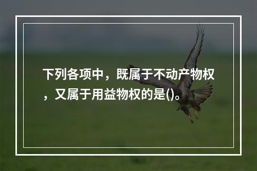 下列各项中，既属于不动产物权，又属于用益物权的是()。