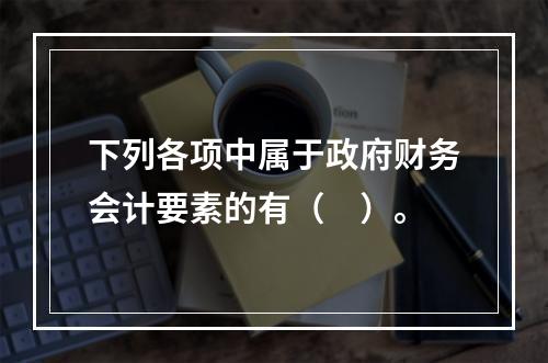 下列各项中属于政府财务会计要素的有（　）。