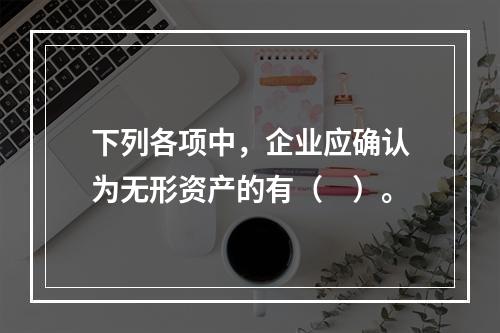 下列各项中，企业应确认为无形资产的有（　）。