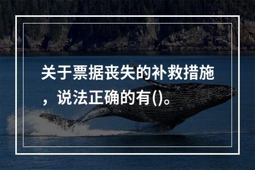 关于票据丧失的补救措施，说法正确的有()。