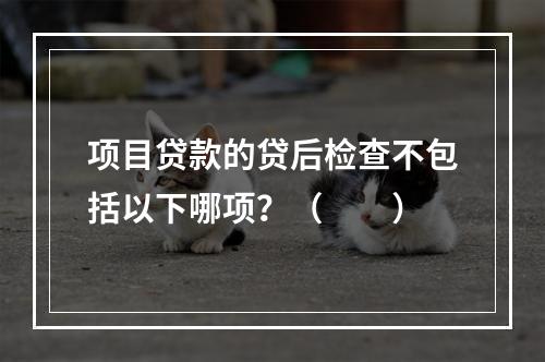 项目贷款的贷后检查不包括以下哪项？（　　）