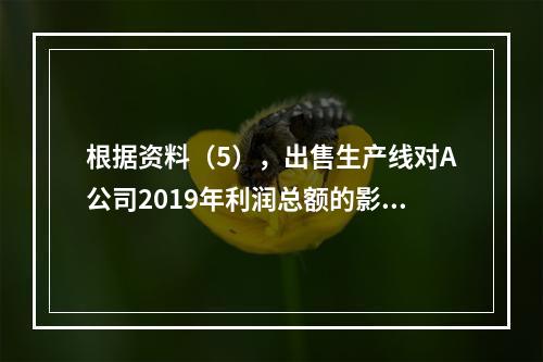 根据资料（5），出售生产线对A公司2019年利润总额的影响金