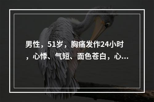 男性，51岁，胸痛发作24小时，心悸、气短、面色苍白，心电图