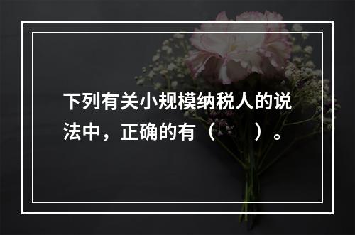 下列有关小规模纳税人的说法中，正确的有（　　）。