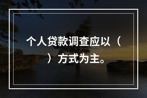 个人贷款调查应以（  ）方式为主。