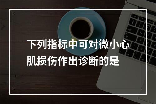 下列指标中可对微小心肌损伤作出诊断的是