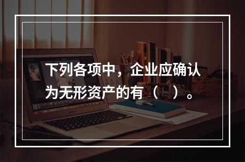 下列各项中，企业应确认为无形资产的有（　）。