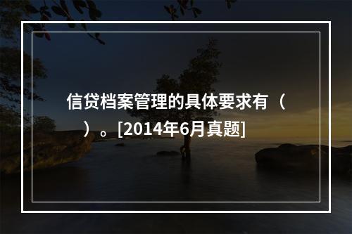 信贷档案管理的具体要求有（　　）。[2014年6月真题]