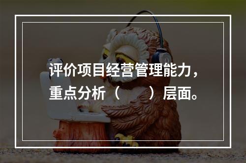 评价项目经营管理能力，重点分析（　　）层面。