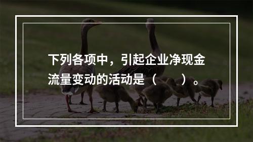 下列各项中，引起企业净现金流量变动的活动是（　　）。