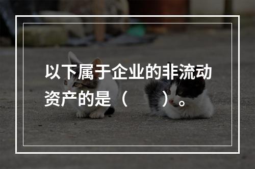 以下属于企业的非流动资产的是（  ）。