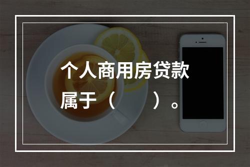 个人商用房贷款属于（  ）。