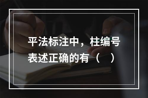 平法标注中，柱编号表述正确的有（　）