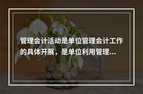 管理会计活动是单位管理会计工作的具体开展，是单位利用管理会计