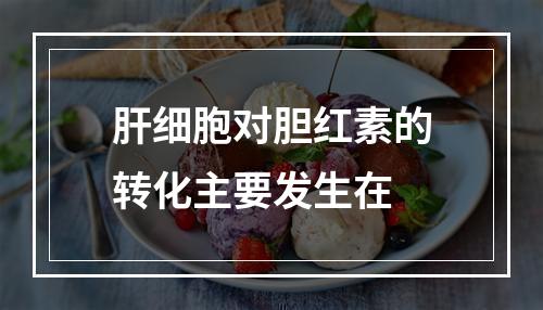 肝细胞对胆红素的转化主要发生在