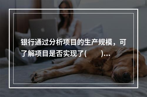 银行通过分析项目的生产规模，可了解项目是否实现了(　　)，进