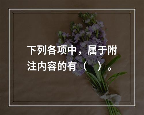 下列各项中，属于附注内容的有（　）。