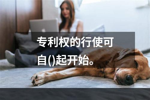 专利权的行使可自()起开始。