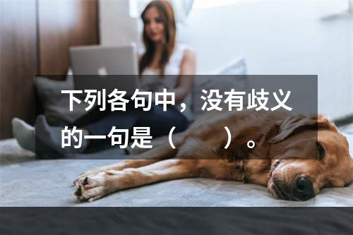 下列各句中，没有歧义的一句是（　　）。