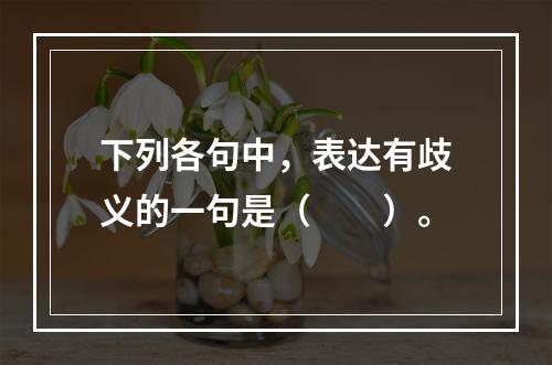 下列各句中，表达有歧义的一句是（　　）。