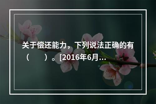 关于偿还能力，下列说法正确的有（　　）。[2016年6月真题