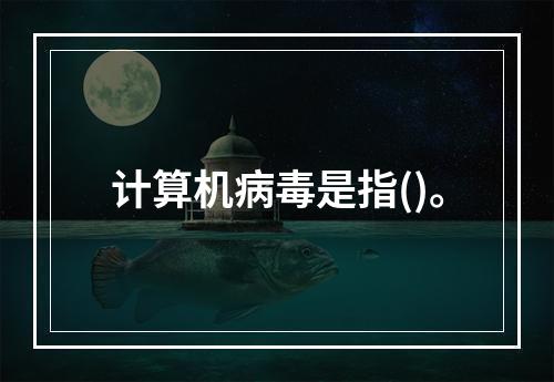 计算机病毒是指()。