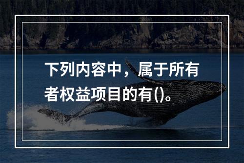 下列内容中，属于所有者权益项目的有()。