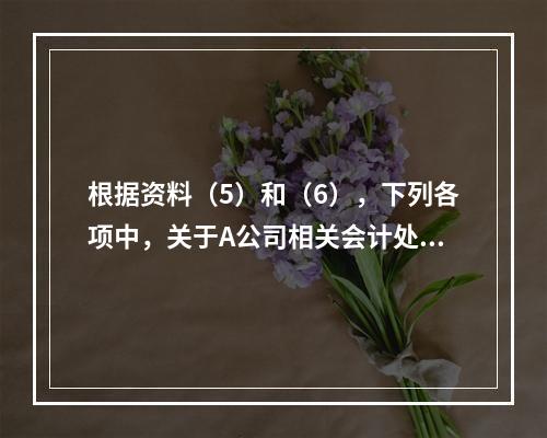 根据资料（5）和（6），下列各项中，关于A公司相关会计处理结