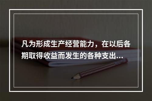 凡为形成生产经营能力，在以后各期取得收益而发生的各种支出，即