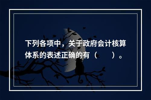 下列各项中，关于政府会计核算体系的表述正确的有（　　）。