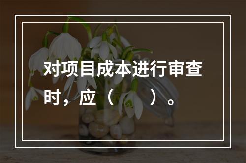 对项目成本进行审查时，应（　　）。