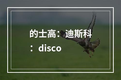 的士高：迪斯科：disco