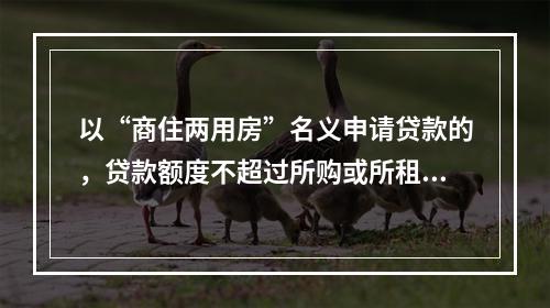 以“商住两用房”名义申请贷款的，贷款额度不超过所购或所租商用