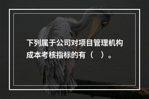 下列属于公司对项目管理机构成本考核指标的有（　）。