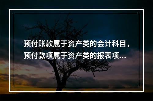 预付账款属于资产类的会计科目，预付款项属于资产类的报表项目。