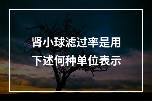 肾小球滤过率是用下述何种单位表示