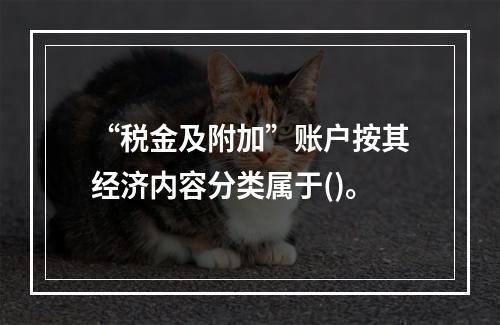 “税金及附加”账户按其经济内容分类属于()。