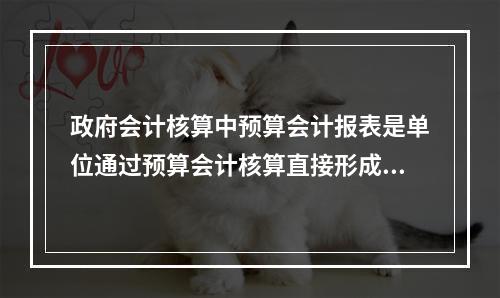 政府会计核算中预算会计报表是单位通过预算会计核算直接形成的报