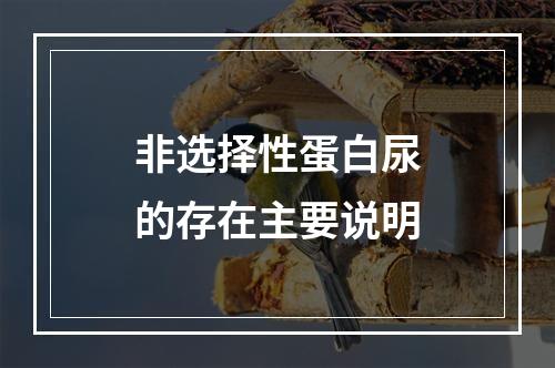 非选择性蛋白尿的存在主要说明