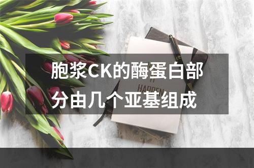 胞浆CK的酶蛋白部分由几个亚基组成