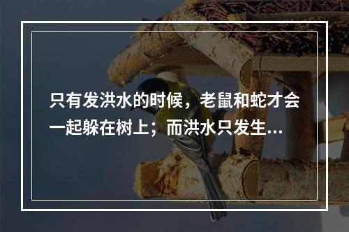 只有发洪水的时候，老鼠和蛇才会一起躲在树上；而洪水只发生在那