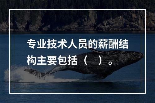 专业技术人员的薪酬结构主要包括（　）。