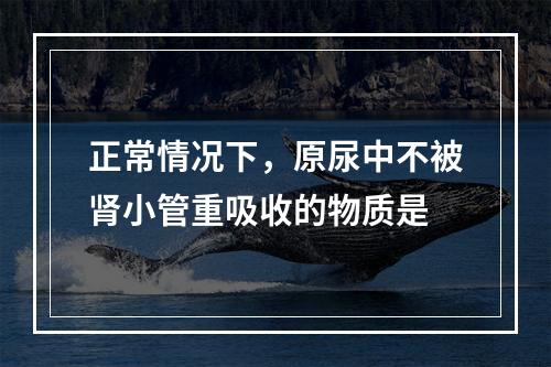 正常情况下，原尿中不被肾小管重吸收的物质是