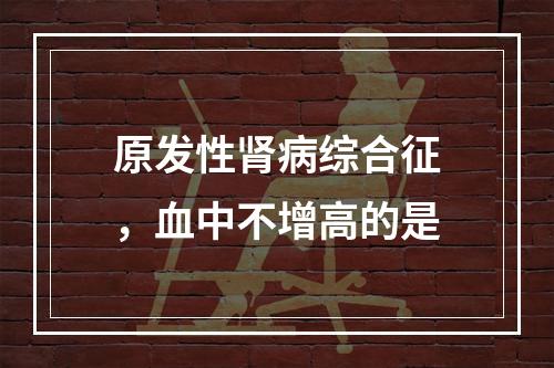 原发性肾病综合征，血中不增高的是